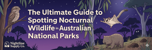 The Ultimate Guide to Spotting Nocturnal Wildlife in Australian National Parks